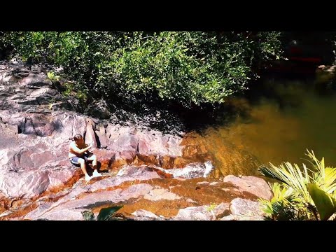 Sauzier Waterfall ,Port Glaud wetland  and Magrov trees  forest  #Mahe #Seychelles.