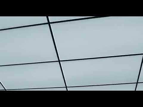 83 babies - walkin pt1