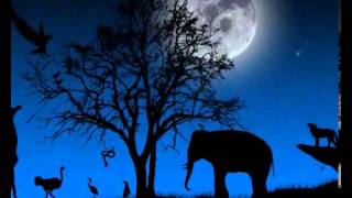 Night Journey - THE GREEN MILE