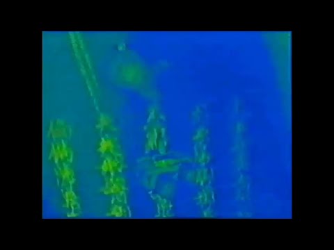 DJ BISHOP - TALES FROM MOUNT ZION