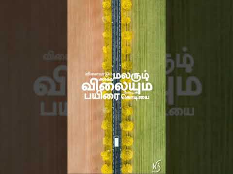 💞Kurukku Vazhiyil Vaazhvu Thedidum 💞 30 sec HD  || WhatsApp status ||