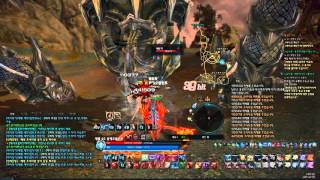 창기사 여명의 정원 화신 딜딸