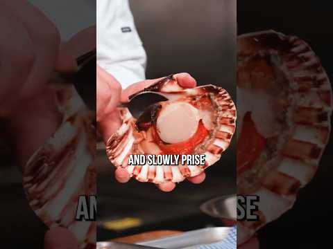Prepare Scallops Like a Chef