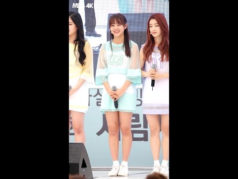 [직캠] 160904 사람사랑 생명사랑 걷기축제 - 구구단 김세정 ( 토크 ) 4K