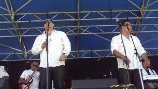 Dw3 performs Just Say Yes Live at the Napa Valley Jazz Getaway 2013