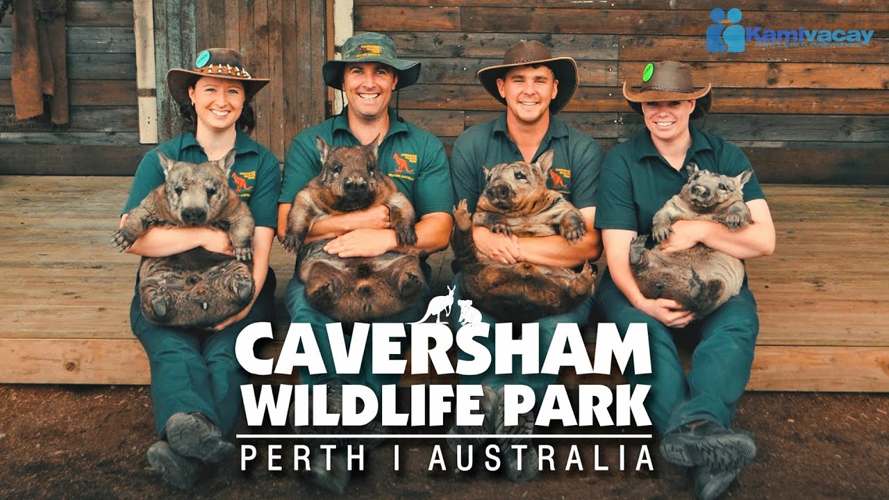 Experience the fascinating highlights of Caversham Wildlife Park.