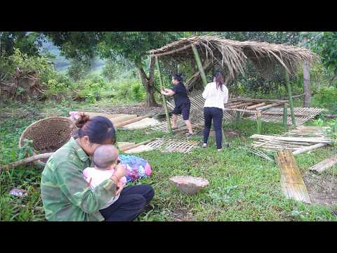 Kind Police Officer Helps Single Mom Build a Bamboo House — Jealous Wife Destroys It