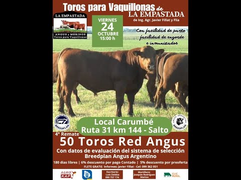 24/10/2025   La Empastada (Cabaña) - Luis Zaldua Negocios Rurales / Local Carumbé - Salto