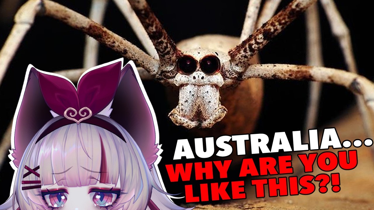 Australia is PURE TERROR | More Parz reaction