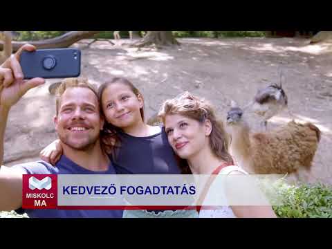 Videó előnézet