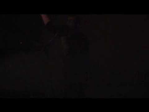 The Daughters of Bristol "Give Rise" Live