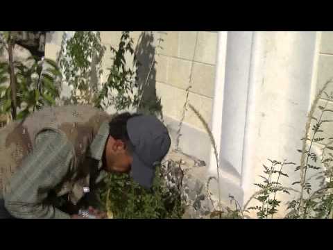 اشتباكات بين عناصر لواء الأنصار وقوات النظام في كفرناها