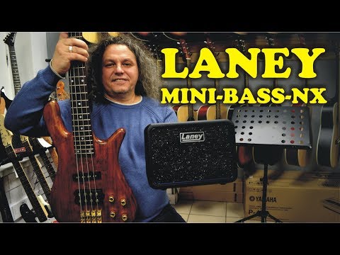 Обзор комбоусилителя Laney Mini-Bass-NX