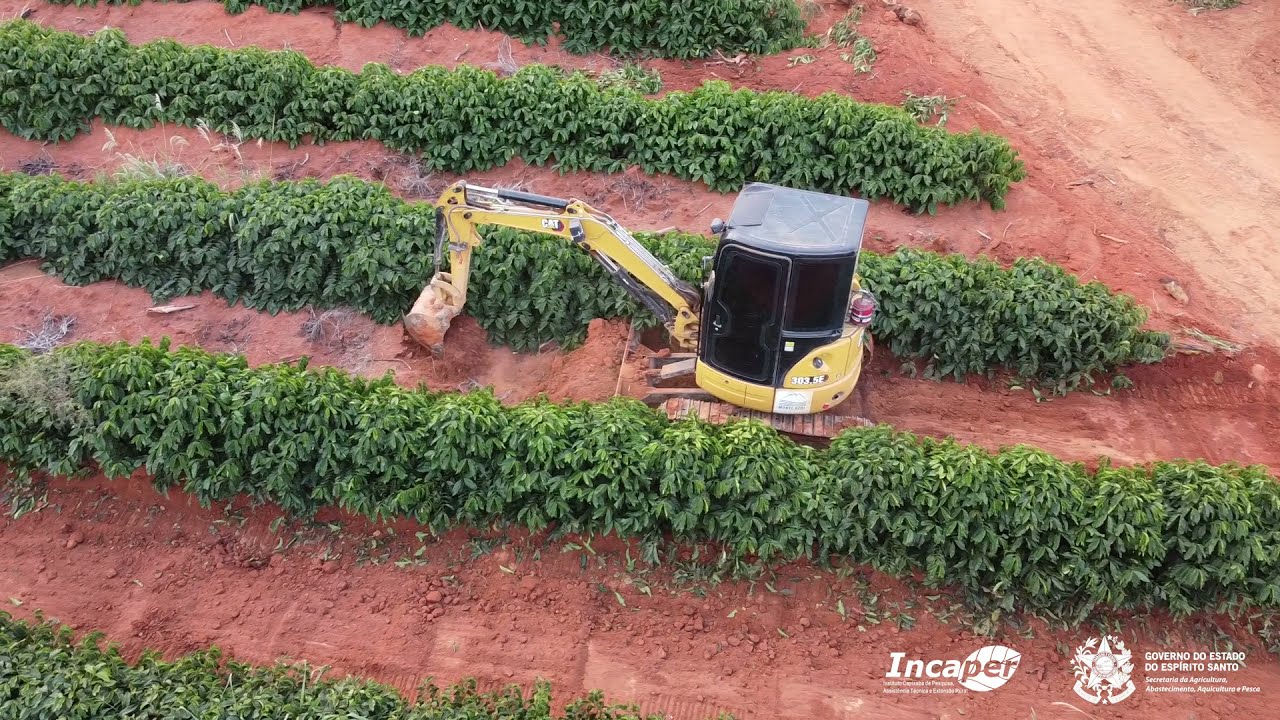 Micro-Terraceamento em Lavouras de Café: Aprenda a Técnica