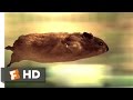 The Nutty Professor 1 12 Movie CLIP Hamster Havoc 1996 HD