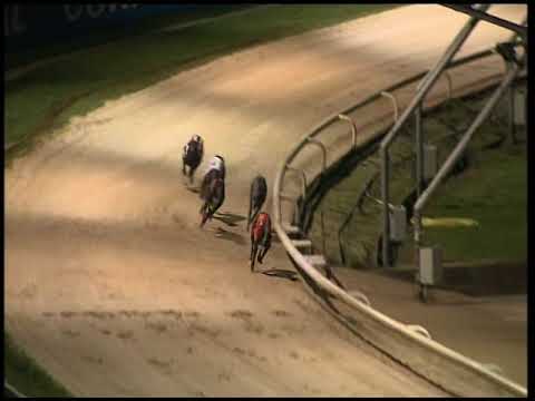 2017 CORAL OLYMPIC - HEAT 2 - T5 CROSSFIELD GILES