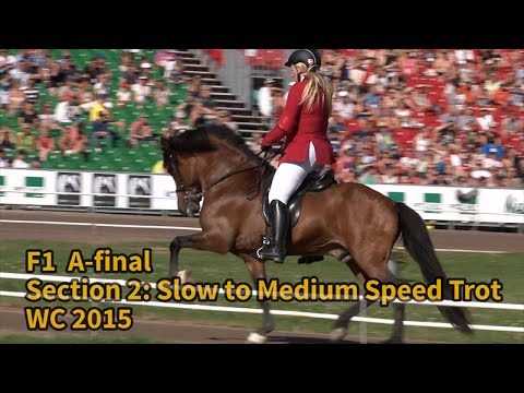 F1, A final, Section 2, WC Icelandic Horses, Islandpferde WM, VM Islandshästar, 2015