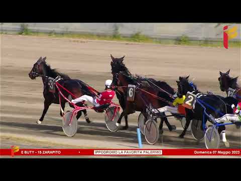 VII Corsa del 7 Maggio 2023 - 5 Anni ed oltre - Metri 1600