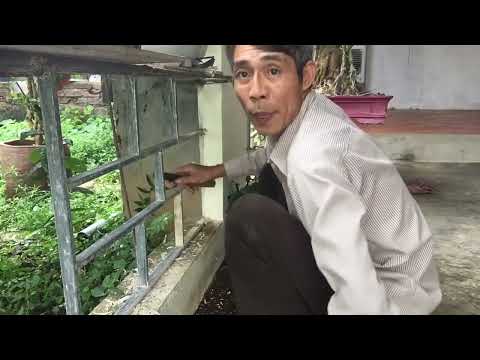 Como ficar entusiasmado ao aprender artigos de educação física em 2 meses