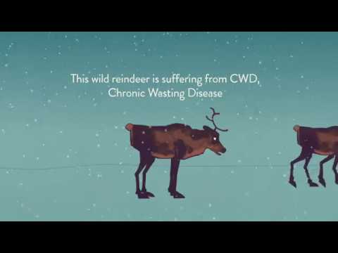 This is Chronic Wasting Disease