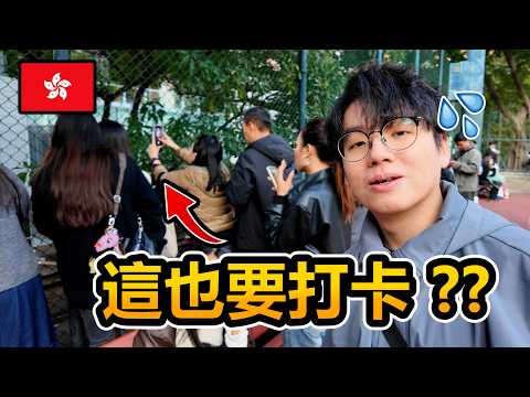 只跟著小紅書香港一日遊！香港人實測8個推薦行程是否令人失望...