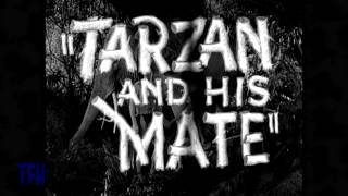 Tarzan and His Mate (1934) Video