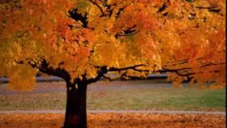 El canto del loco &#39;&#39;Aunque tu no lo sepas&#39;&#39;