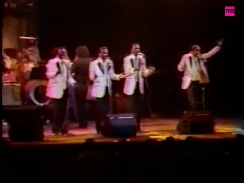 The Monotones on "PM Magazine" WNEW-TV - 1981 "We Wrote The Book of Love"