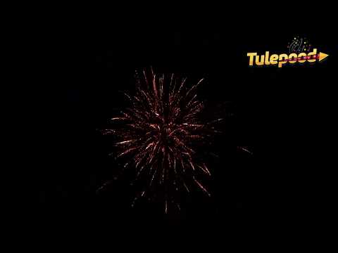 ORBITER 02  TB181  www.tulepood.ee