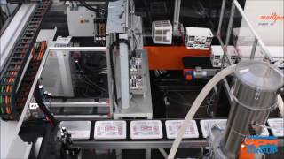 PLASTIC METAL SPA - IML System