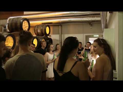 Imagevideo LJ Bad Wimsbach