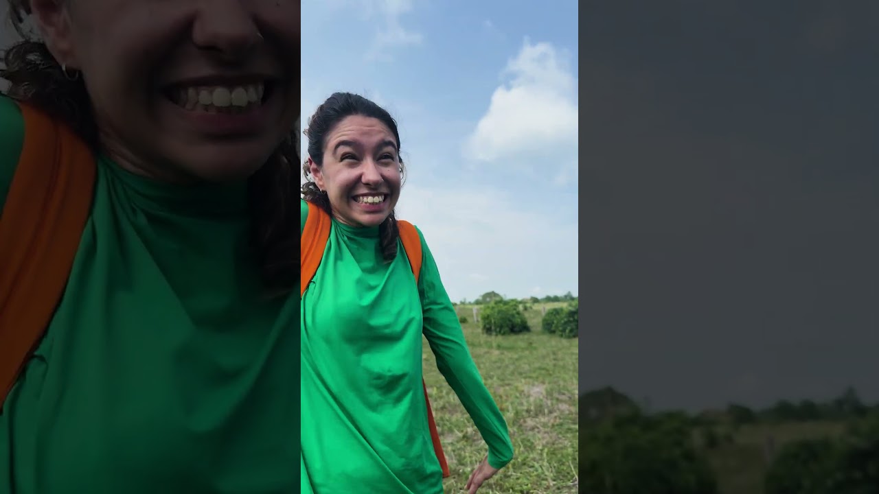 Um Brasil de Energia | Corredores ecológicos