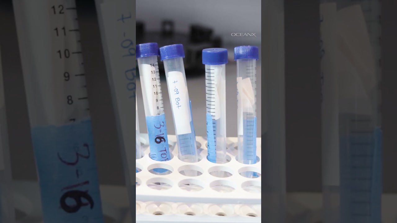 DNA Sampling in the Middle of the Ocean?