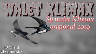 Download lagu SP Swallow Klimax 2019 || Origional Tested Great Pull mp3 Download lagu SP Swallow Klimax 2019 || Origional Tested Great Pull mp3