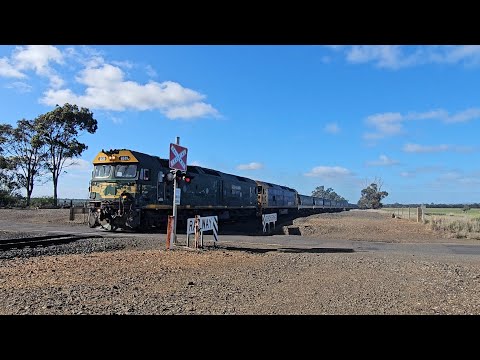 7731V PN down empty grainy (G539, BL31), Geelong to Murtoa. 1300, 17/7/25, Barwon Park VIC