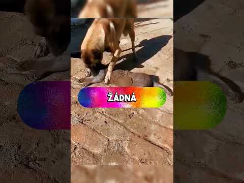 #vikramsarkar(Credit: @Zack D. Films)