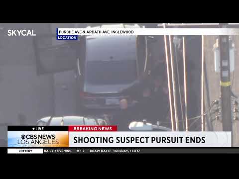 Live Police Chase in L.A