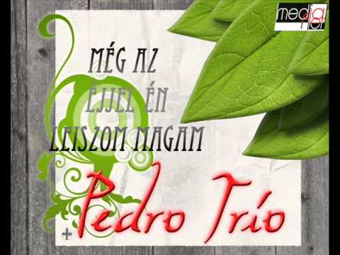 Pedro Trio - Még az éjjel én leiszom magam