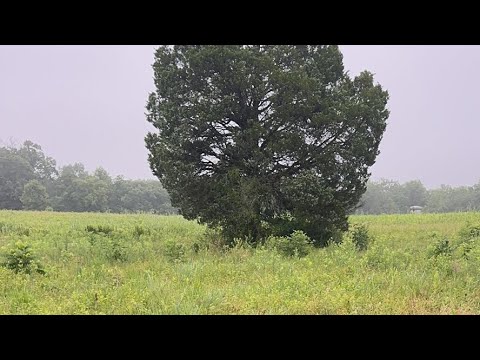 Gettysburg 160| The Wheatfield