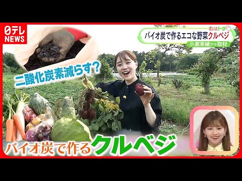 バイオ炭: 土壌改良と気候保護 トピックス