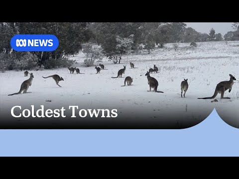 Winter solstice brings frost as Australia's coldest towns revealed | ABC NEWS