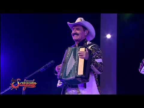 El Jarocho y El Canelo - Los Hermanos Salgado (En vivo)