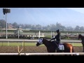 All Access Episode 7 Santa Anita Park