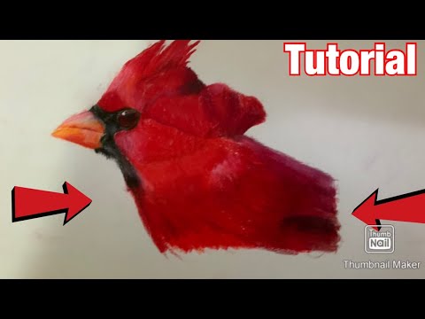 How to draw a red bird (easy for kids)