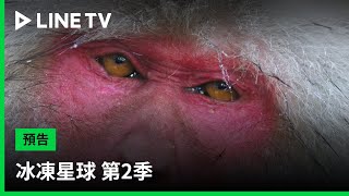 【冰凍星球 第2季｜Frozen Planet S2】預告：歷時1,460天、走訪18國，感受冰凍地區正面臨的環境考驗與自然奇蹟！| LINE TV 共享追劇生活