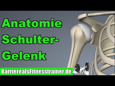 Die Anatomie des Schultergelenks - Alles was du für die B-Lizenz Prüfung wissen musst