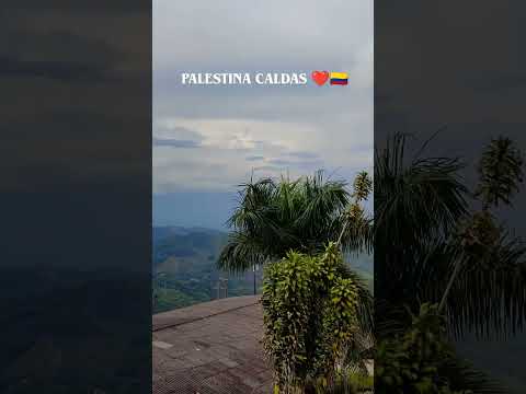 Palestina Caldas ❤️🇨🇴 #colombia #paisajeculturalcafetero