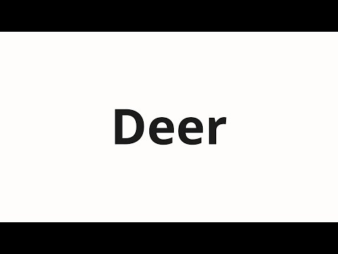 How to pronounce Deer