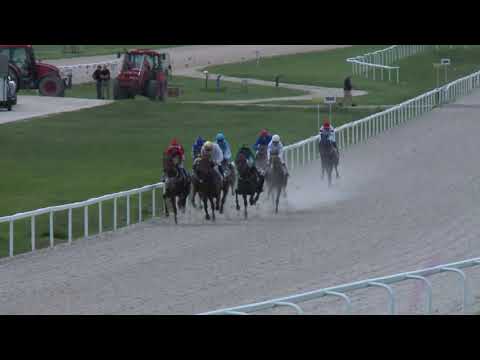 2022.09.10. 06. futam - NÚSZ - GÖDI HENDIKEP (V.o.) (szintetikus pálya)