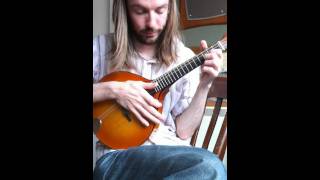Celtic Mandolin by NK Forster and Ian Stephenson